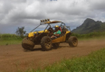 ATV Buggy in Kauai, HI
